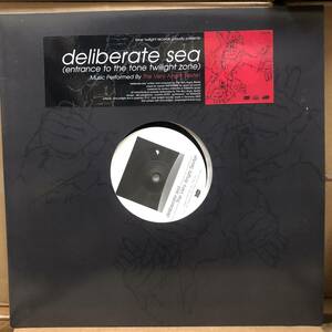 The Very Angry Sextet - Deliberate Sea (Entrance To The Tone Twilight Zone)　(A14)