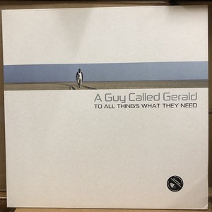 A Guy Called Gerald - To All Things What They Need　2records (A13)