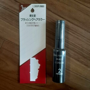 資生堂 ヘアカラー ブラッシングヘアカラー 2 20mL