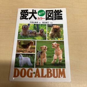 愛犬選び方カラー図鑑