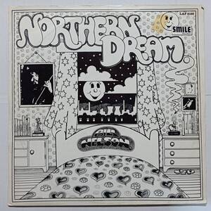 即決 UK BILL NELSON Northern Dream ビル・ネルソン　Be-Bop Deluxe　YA