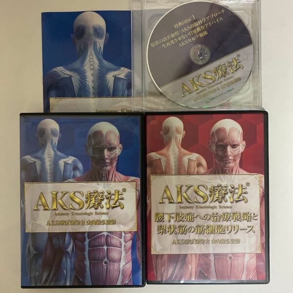 フルセット!整体DVD【AKS療法】【腰下肢痛への治療戦略と梨状筋の筋細胞リリース】山内義弘★手技DVD 整骨 治療院マーケティング研究所