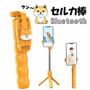 イヌ セルカ棒 自撮り棒 柴犬 スマホ 可愛い ブルートゥース シャッター リモコン付き 三脚 一脚 コンパクト 軽量 自撮り棒 