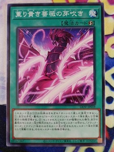 ◇A7775◇遊戯王OCG・薫り貴き薔薇の芽吹き ノーマル LIOV-JP059・美品◇