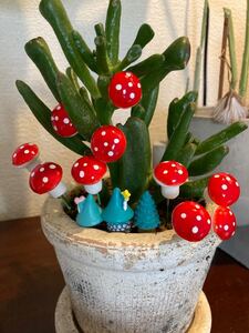 観葉植物 キノコピック ガーデニング
