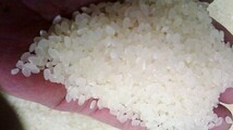 ★さあ　どうぞ～食べれば納得！送料込（一部地域除き）国産令和3年産訳あり米（白米）20k(5kを4袋にしてあります）_画像3