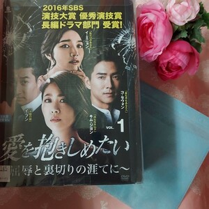 愛を抱きしめたい～屈辱と裏切りの涯てに～ 韓国ドラマDVD 全41巻