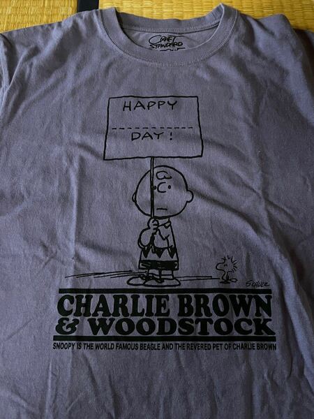 vintage PEANUTSチャーリーブラウンTシャツ
