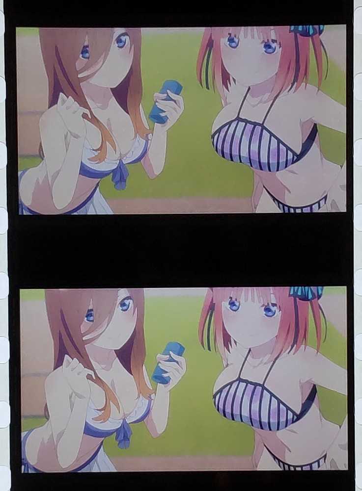 映画 五等分の花嫁 特典 フィルム 一花 二乃 三玖 四葉 五月 全員 集合 ...