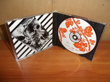 Various / International Pop Underground Convention (輸入盤CD) Scrawl The Pastels Melvins L7 Courtney Love Fugazi Beat Happening_画像2