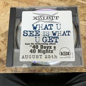 シ● HIPHOP,R&B XZIBIT - WHAT U SEE IS WHAT U GET INST,シングル,名曲! CD 中古品