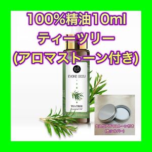 ティーツリー 精油10ml アロマストーン ケース缶付 シルバー★オマケ付★