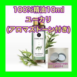 ユーカリ 精油10ml アロマストーン ケース缶付 シルバー★オマケ付★