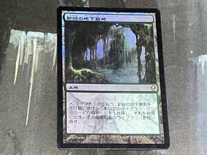 MTG 新緑の地下墓地/Verdant Catacombs Foil 日 1枚迄 ZEN