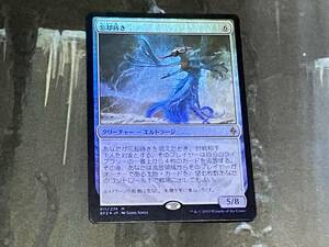 MTG 忘却蒔き/Oblivion Sower Foil 日 1枚迄