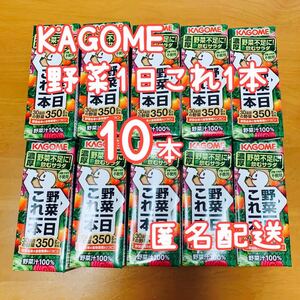 KAGOME『野菜1日これ1本』×10本☆紙パック☆200ml☆濃厚!野菜チャージ