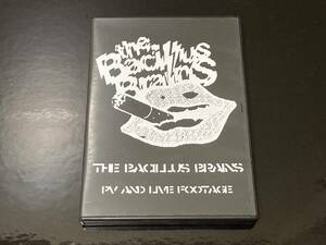 THE Japan ..[PV AND LIVE FOOTAGE]THE BACILLUS BRAINS......Slowmotions EXCLAIM THE car [ immediately shipping ]