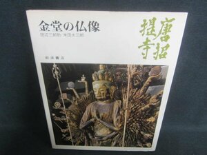 唐招提寺　金堂の仏像　日焼け強/CFZL