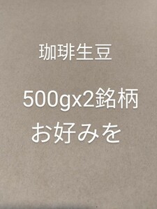 お好みの珈琲生豆500gx2銘柄 コーヒー豆