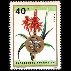 郵便切手 ルワンダ RWANDAISE 「カモミール 20c」「アロエ 40c」「コーラ 60c」「コカの木 80c」 4枚セット 1969年 未使用 Stamps Plantの画像4
