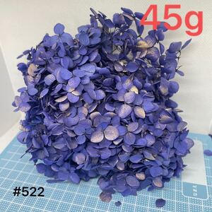 SALE522プリザーブドフラワー アナベルあじさい 45gハーバリウム花材