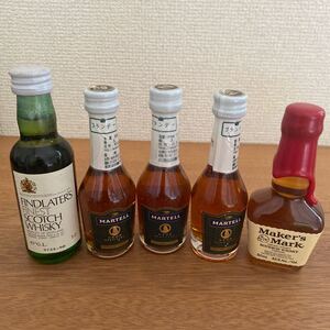 ミニボトル5本セット
