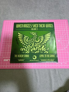 シングル盤レコード THE ACACIA SATRIN LOYAL TO THE GRAUE