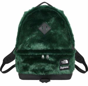 The North Face Faux Fur Backpack 緑 グリーン