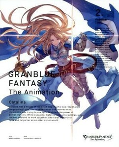 ＧＲＡＮＢＬＵＥ　ＦＡＮＴＡＳＹ　Ｔｈｅ　Ａｎｉｍａｔｉｏｎ　２（完全生産限定版）（Ｂｌｕ－ｒａｙ　Ｄｉｓｃ）／赤井俊文（キャラク