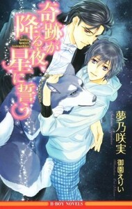 奇跡が降る夜、星に誓う ビーボーイノベルズ／夢乃咲実(著者),御園えりい