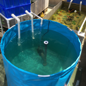 ヤフオク 鯉 水槽 池の中古品 新品 未使用品一覧 ヤフオク 鯉 水槽 池の中古品 新品 未使用品一覧