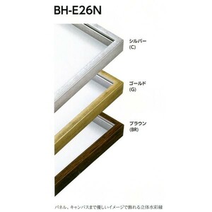 水彩用額縁 樹脂製フレーム BH-E26N サイズF4号