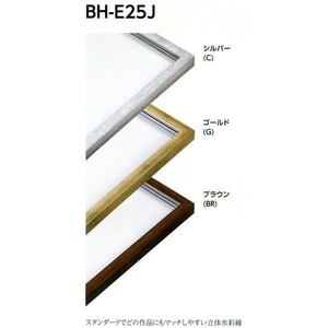 水彩用額縁 樹脂製フレーム BH-E25J サイズF10号