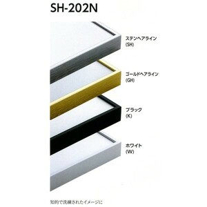 デッサン用額縁 アルミフレーム SH-202N サイズインチ