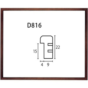 水彩用額縁 木製フレーム D816 アクリル付 F6号