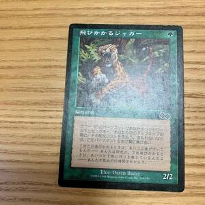 飛びかかるジャガー / Pouncing Jaguar 1枚 日本語版 / マジック：ザ・ギャザリング Magic: The Gathering MTG