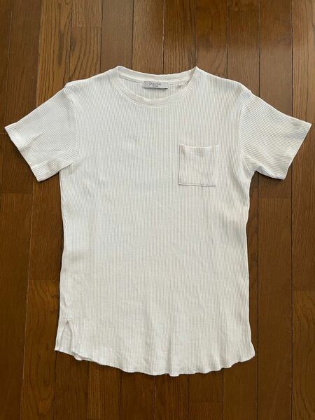 Tシャツ　Discoat