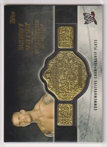 WWE RANDY ORTON COMMEMORATIVE CHAMPIONSHIP PLATE BELT CARD 2014 TOPPS Wrestling ランディ・オートン ベルトカード プロレス