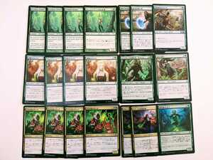 P7 MTG 20枚セット 楽園のドルイド 進化の賢者 裂け目を蒔く者 等 クリーチャー エルフ ドルイド コモン アンコモン デッキ パーツ まとめ