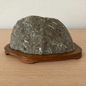 # suiseki st # appreciation stone # tray stone # natural stone #E-62