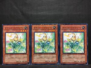 遊戯王 np741「ナチュル・ラグウィード」×3枚 ノーマルパラレル