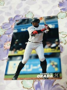 カルビープロ野球チップスカード 千葉ロッテマリーンズ 岡田幸文