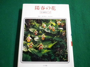 ■陽春の花　花の歳時記2　飯田龍太・田中澄江監修 小学館　昭和57年■FAIM2022011810■