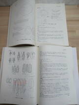 L36C◇希少【まとめて 根室市 穂香竪穴群 穂香川右岸遺跡 4 冊セット】北海道 縄文時代 縄文土器 アイヌ文化 チャシ 他 2001~2004年 220706_画像5