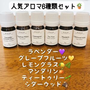 【100%天然精油】夏 ラベンダーハーブ柑橘系★エッセンシャルオイル*人気アロマ 6種類セット