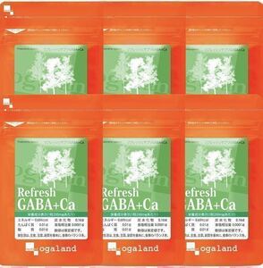 ★送料無料★GABA＋Ca カルシウム 約6ヶ月分(2023.6～)(1ヶ月分90粒入り×6袋)オーガランド サプリメント リフレッシュ