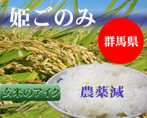 玄米２５Kg（白米・無洗米へ精米無料）【姫ごのみ】★令和3年群馬県産★ミルキークイーン直系★売れてます★低農薬 低アミロース_画像1