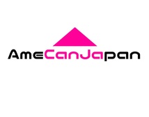 AmeCanJapan マークX ジオ ANA・GGA10系 適合 LED フォグランプ H8 H11 H16 COB 4面発光 12V車用 爆光 フォグライト ホワイト_画像2