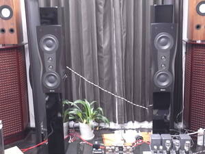 定価210万円!! DYNAUDIO Confidence C2 PLATINUM スピーカーペア ディナウディオ ESOTA エソタ2 最高級ユニット搭載