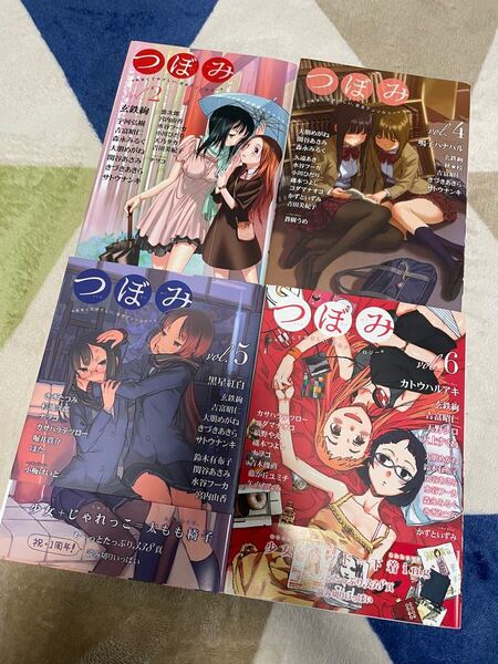 【百合本 6冊セット】百合姫Selection vol.2,3 2冊 / つぼみ vol2.4.5.6 4冊